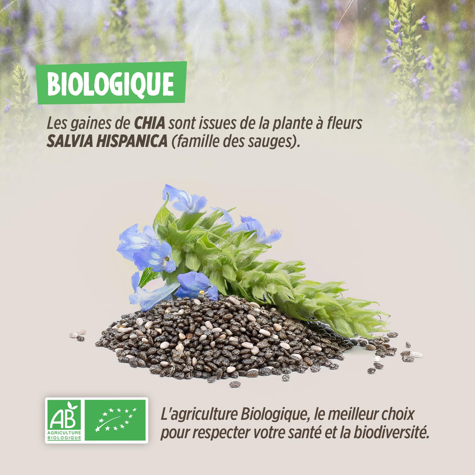 Planète au Naturel Graines de Chia Biologique 2 kg - 2 sachets de 1kg