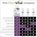 PlantVital Haute puissance L-Theanine - Fabriqué au Canada - 250mg Capsules - 120 Nombre - L Supplément Theanine pour la relaxation et la gestion du stress, non OGM, fabriqué au Canada, 4 Mois
