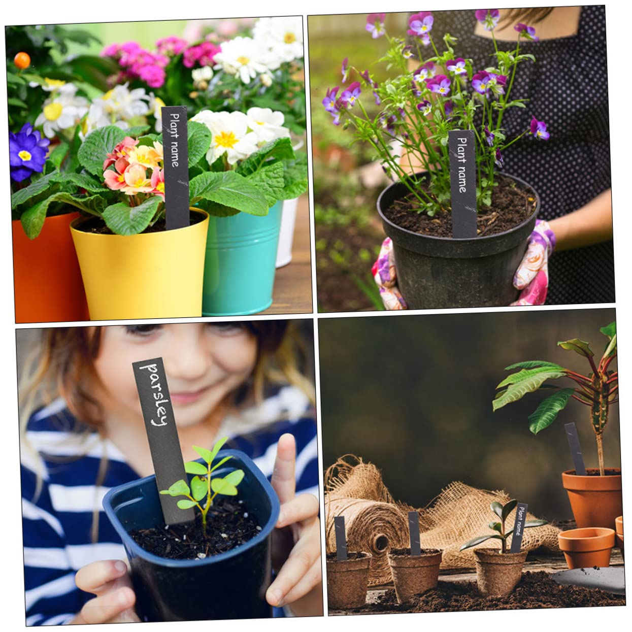 Happyyami Étiquettes pour Plantes D'extérieur Marqueurs de Jardinage Décorations Végétales 12 Pcs en Ardoise Résistantes Déformation pour Jardins Extérieurs