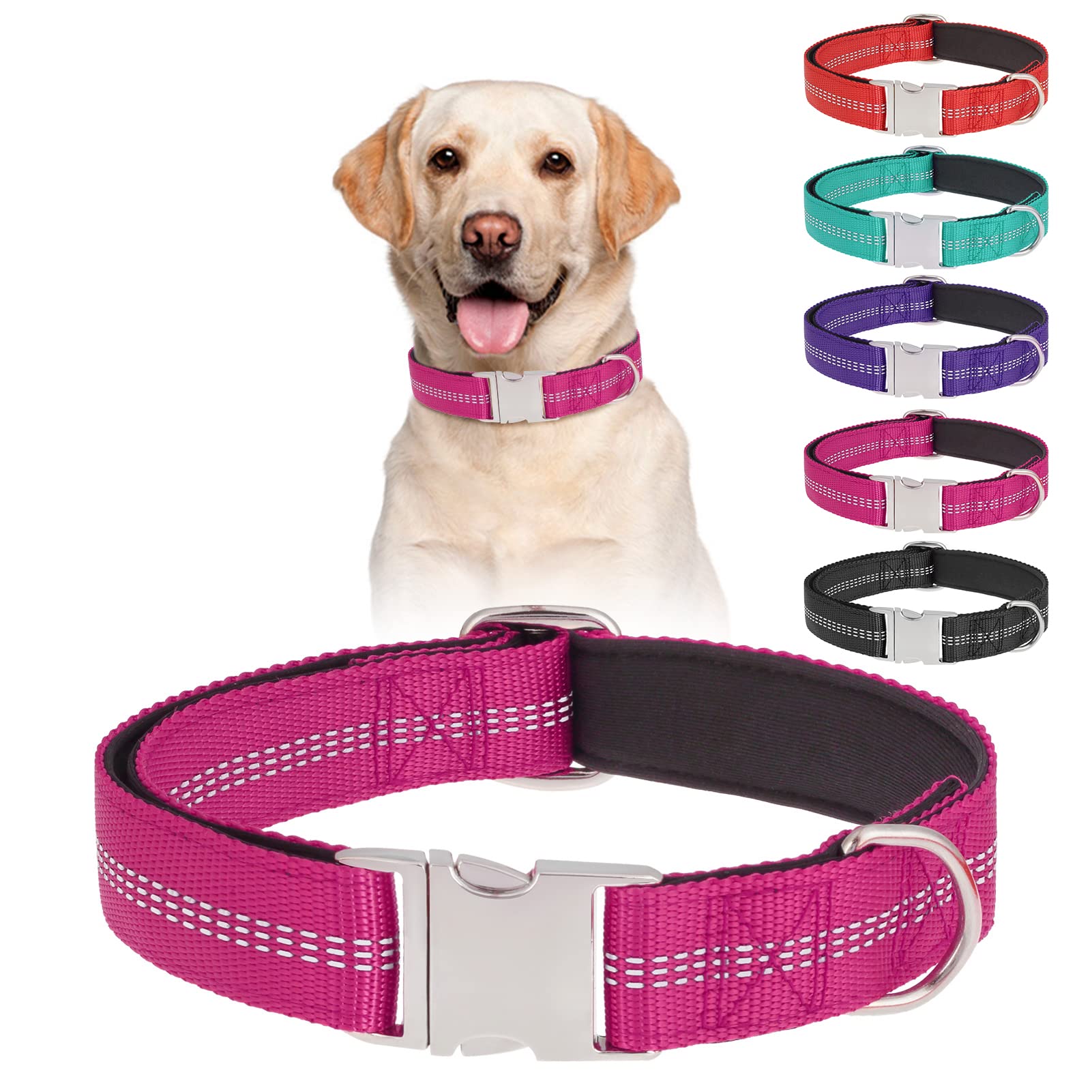 What Size Collar Do You Get A Lab Puppy
