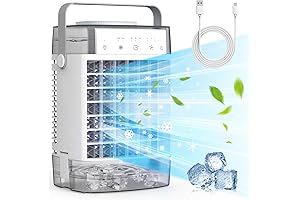 11 Inch Misting Fan with Water Tank, Portable Desk Fan