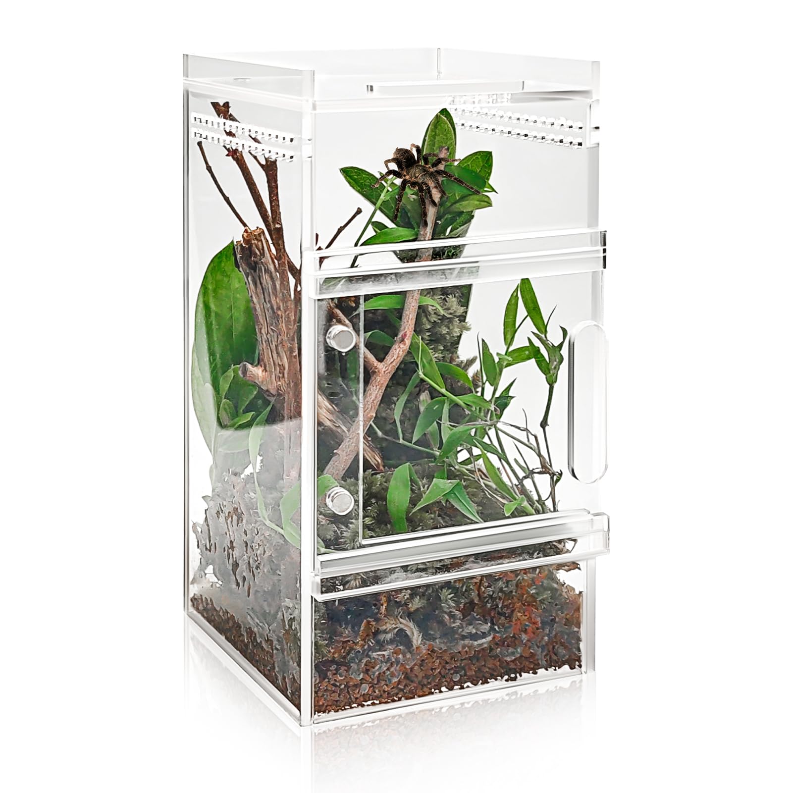 Jumping Spider Enclosure 3x3x6 Inch Acrylic Spider Cage Insect Terrarium Bug Enclosure Tarantula Enclosure Reptile Terrarium for Snail, Mantis, Lizard, and Small Reptiles-image-35