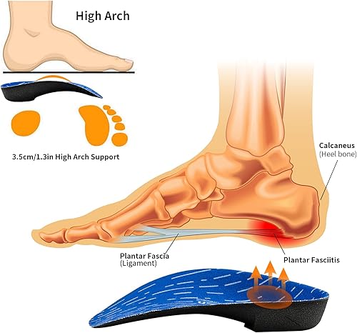 Miniatura 2 de FeetTouch Ortesis rígidas de arco alto 34 para fascitis plantar, pies planos, alivian el dolor de pies, espalda, cadera, piernas y rodillas, mejoran