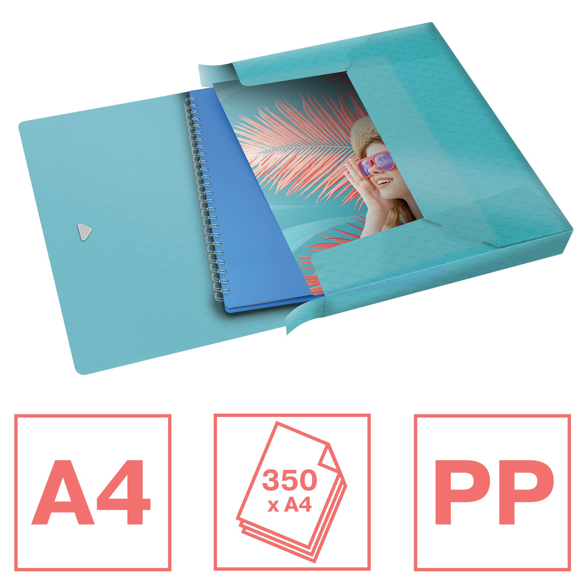 Esselte Colour'Breeze 626266 - Caja de almacenamiento extra A4, 5 unidades, 40 mm de ancho de lomo para hasta 350 hojas, polipropileno, para guardar y transportar documentos y carpetas, varios colores