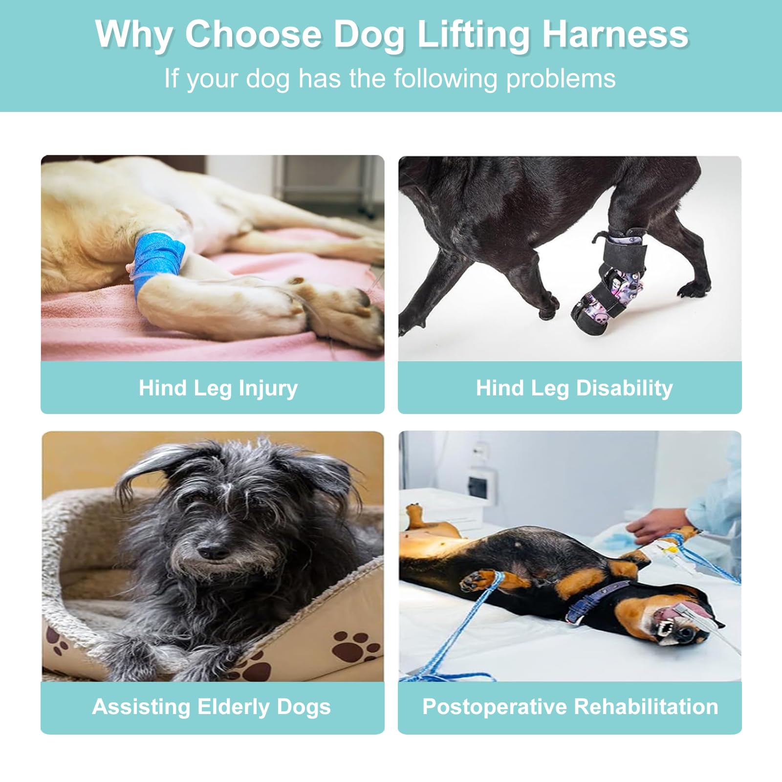 Dog Lifting Harness,Mobility Aids for Medium and Large Dogs,Adjustable Assistance Support Strap for Injured,Disabled,Elderly Dogs (Green - Image 3
