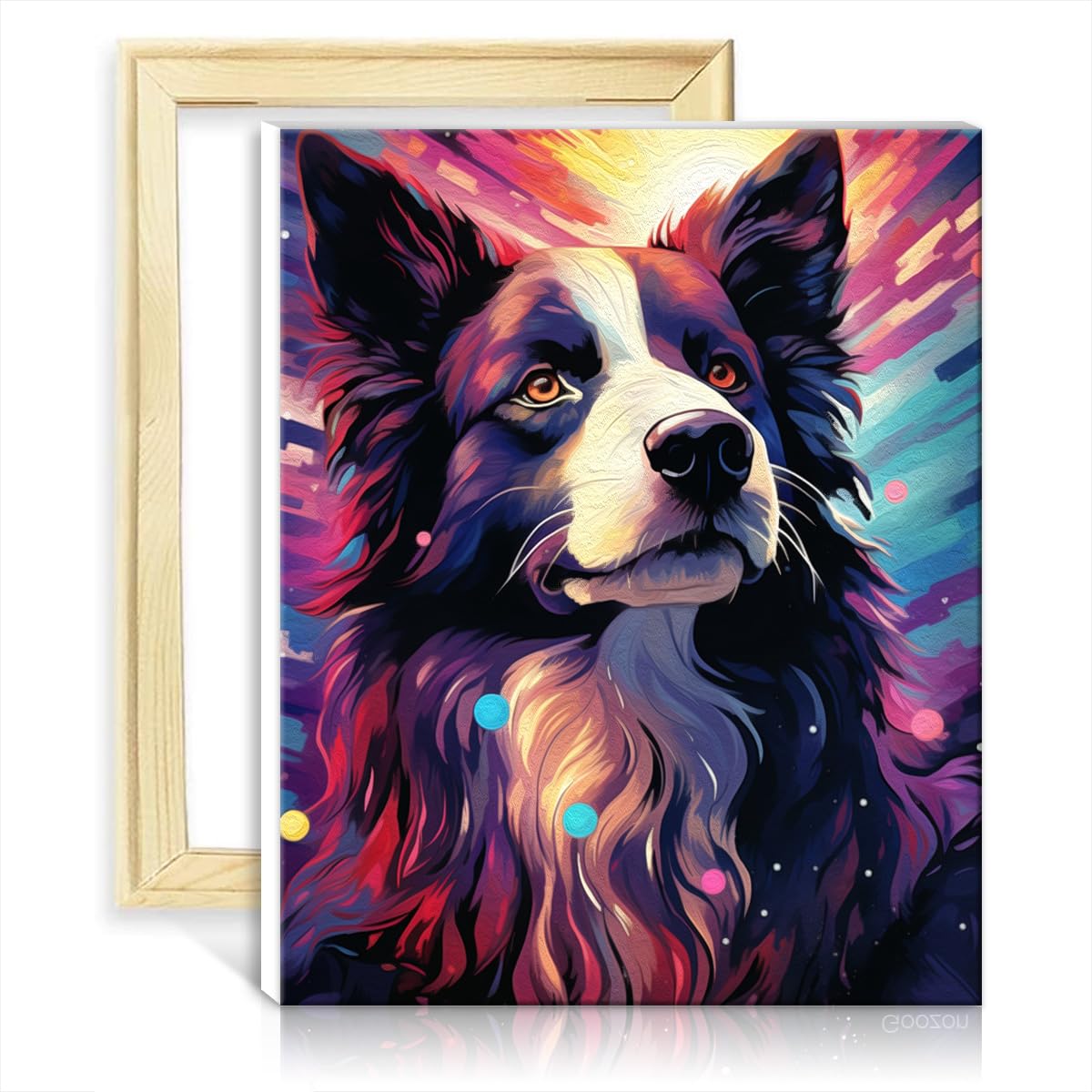 TANGFEIY Paint Kits Canvas Border Collie DIY Oil Painting Paint by Number Kit Adults Acrylic Number with Paintbrushes Painted Style for Home Decor No Frame(40x50cm)