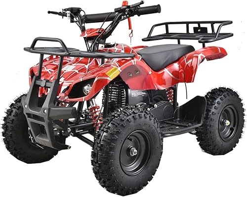 Miniatura 1 de X-PRO ATV 4 ruedas 40cc ATV Quad (dibujos animados)