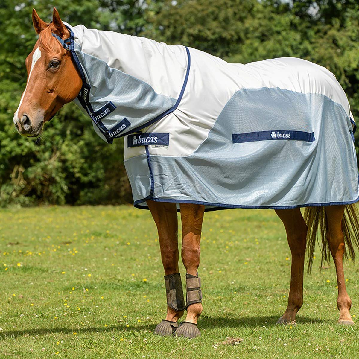 Couverture De Pluie Bucas - Taille 6'0" Bleue, Imperméable