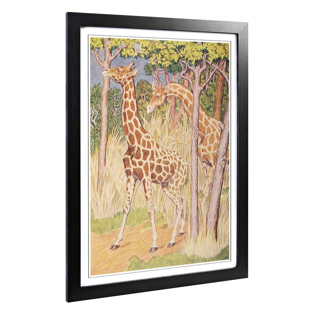 Big Box Art Framed Print of Vintage Percy J Billinghurst Giraffes Design | Wall Art Picture | Home Decor for Kitchen, Living Room, Bedroom, Hallway, Black, A2 / 24.5x18 Inch / 62x45cm