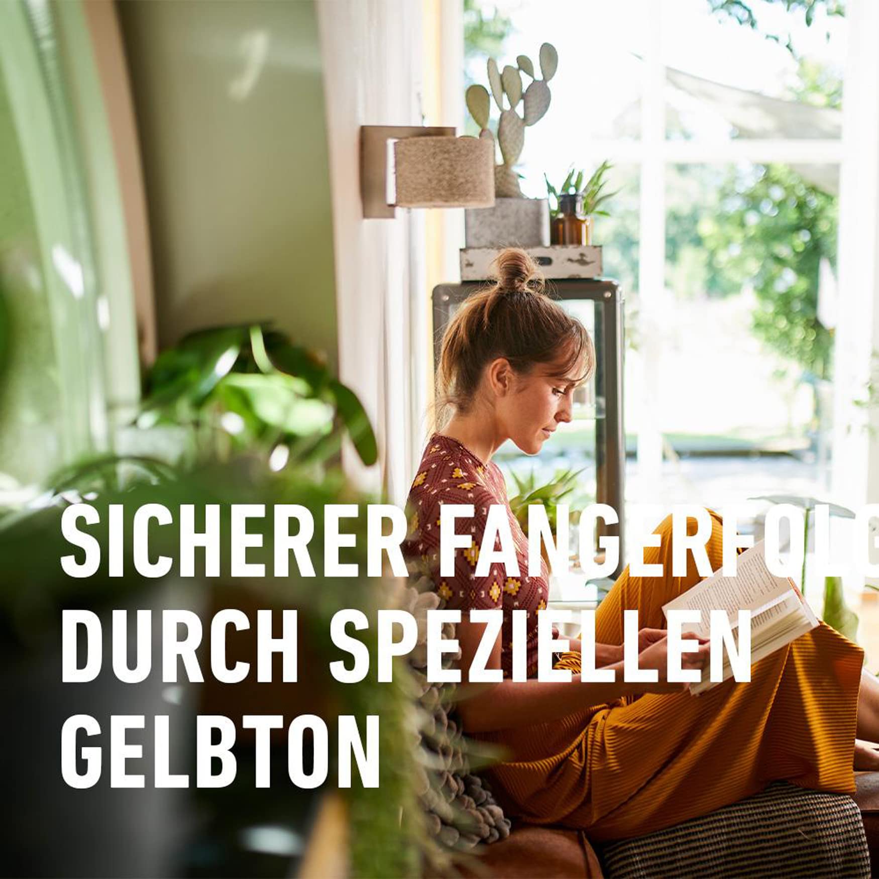 Compo Bio Gelbtafeln 7 Stck : Amazon.de: Garten