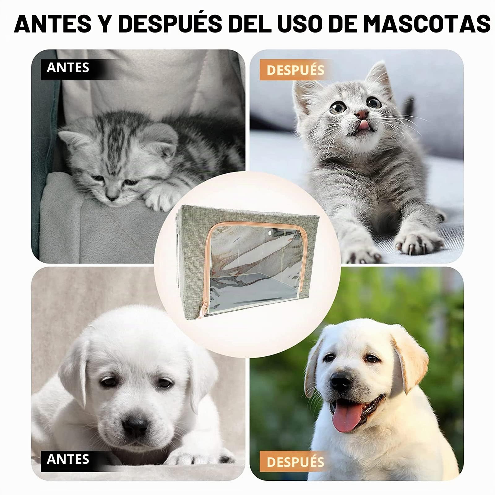 Incubadora de atomización para mascotas – Caja de terapia de oxígeno para perros y gatos para tratamiento de respiración de tos, caja nebulizador ideal para gatitos y cachorros en Amazon