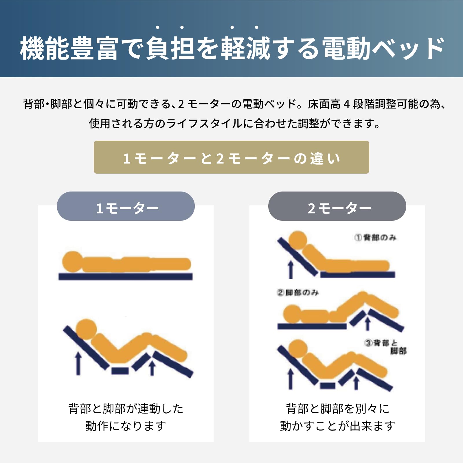 Amazon.co.jp: アテックスベッド 収納電動リクライニングベッド AX