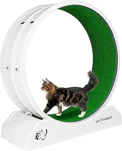 Cat Wheel, Cat Wheels for Indoor Cats, Noiseless Cat Treadmill for Cat Weight Loss,