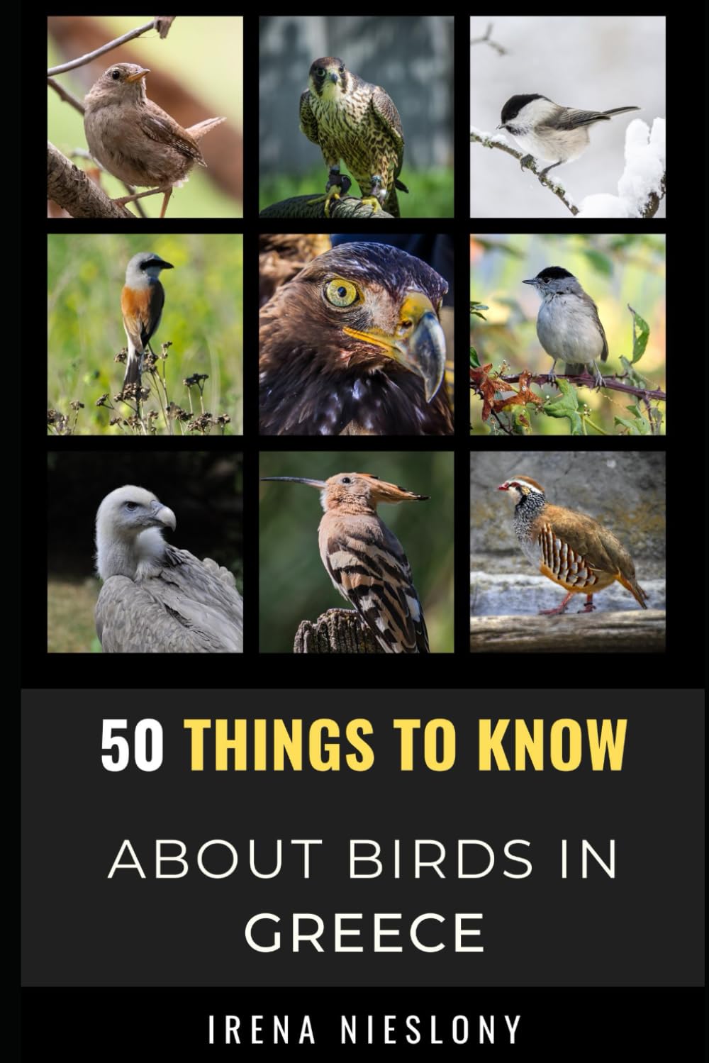 50 Things to Know About Birds in Greece: Birding In the Hellenic Haven (50 Things to Know About Birds and Birdwatching: Birdwatching guides, bird identification tips, and regional bird books)