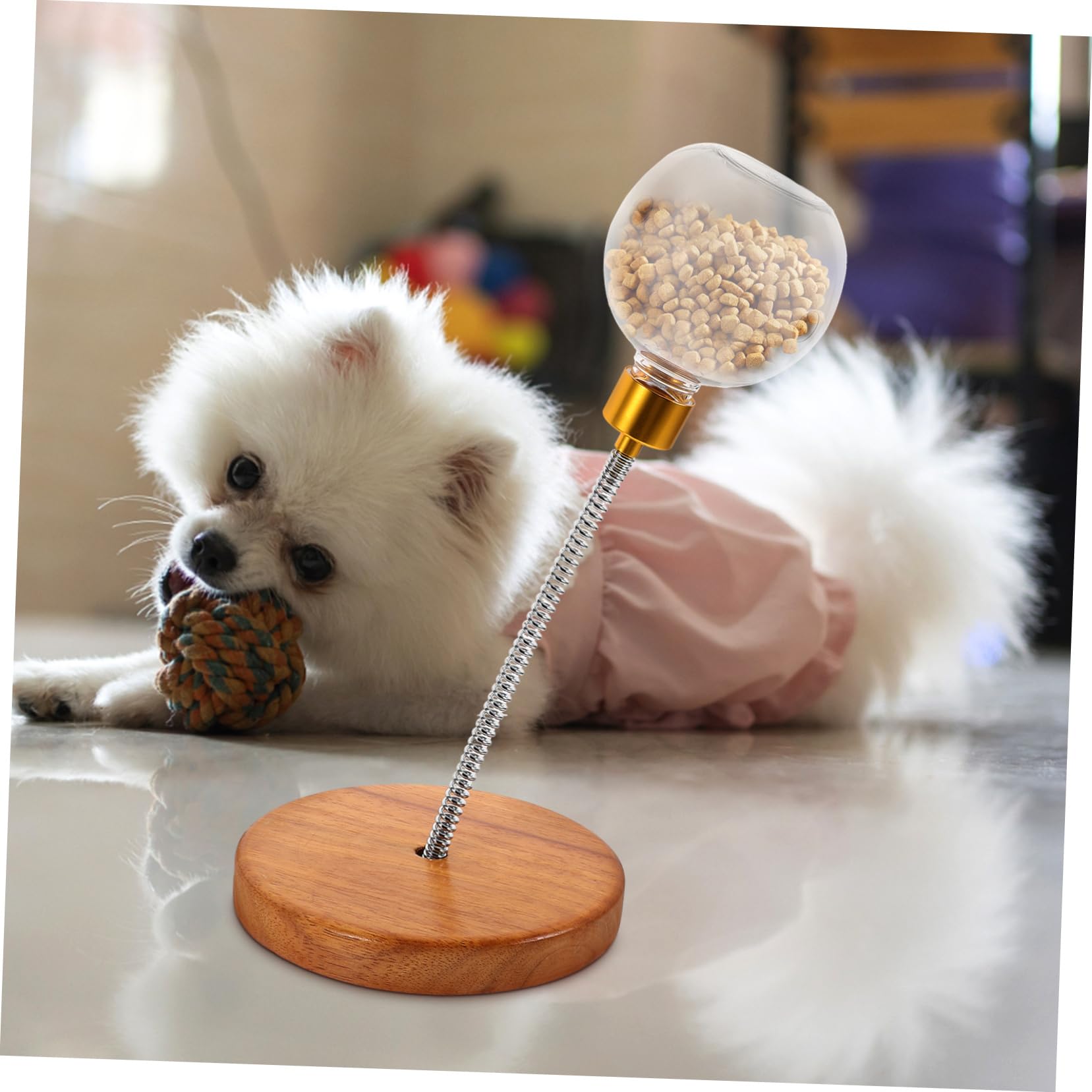 Hohopeti Snackball für Hunde aus Robustem Kunststoff mit Edelstahleinsatz Interaktives Langsames Fresserspielzeug als Hundeleckerli Spender für Drinnen und Welpen