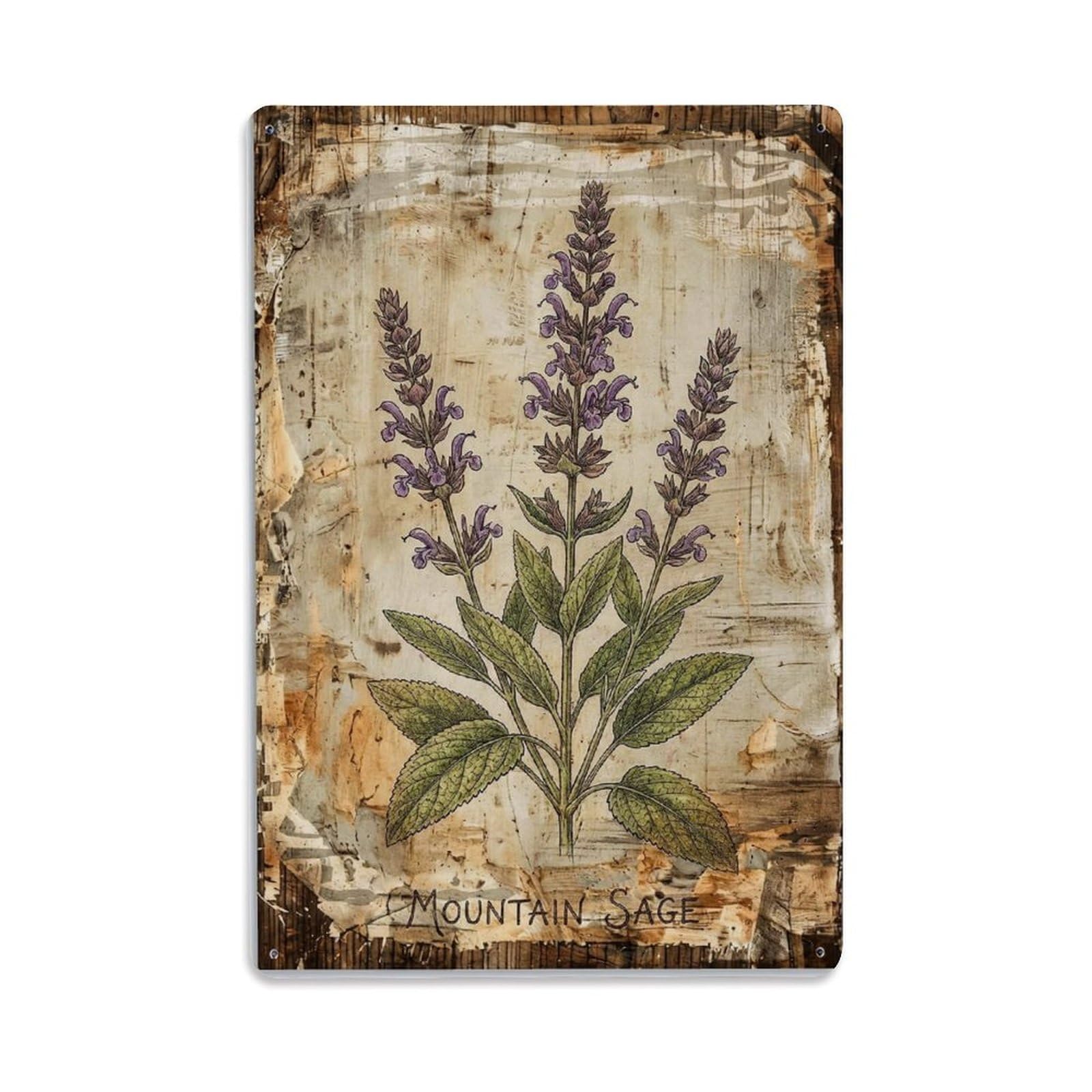 Mountain Sage Herb Vintage Metal Tin Sign Plaque Wall Decor for Cafe, Club, Garden Metal Poster 8x12Inch