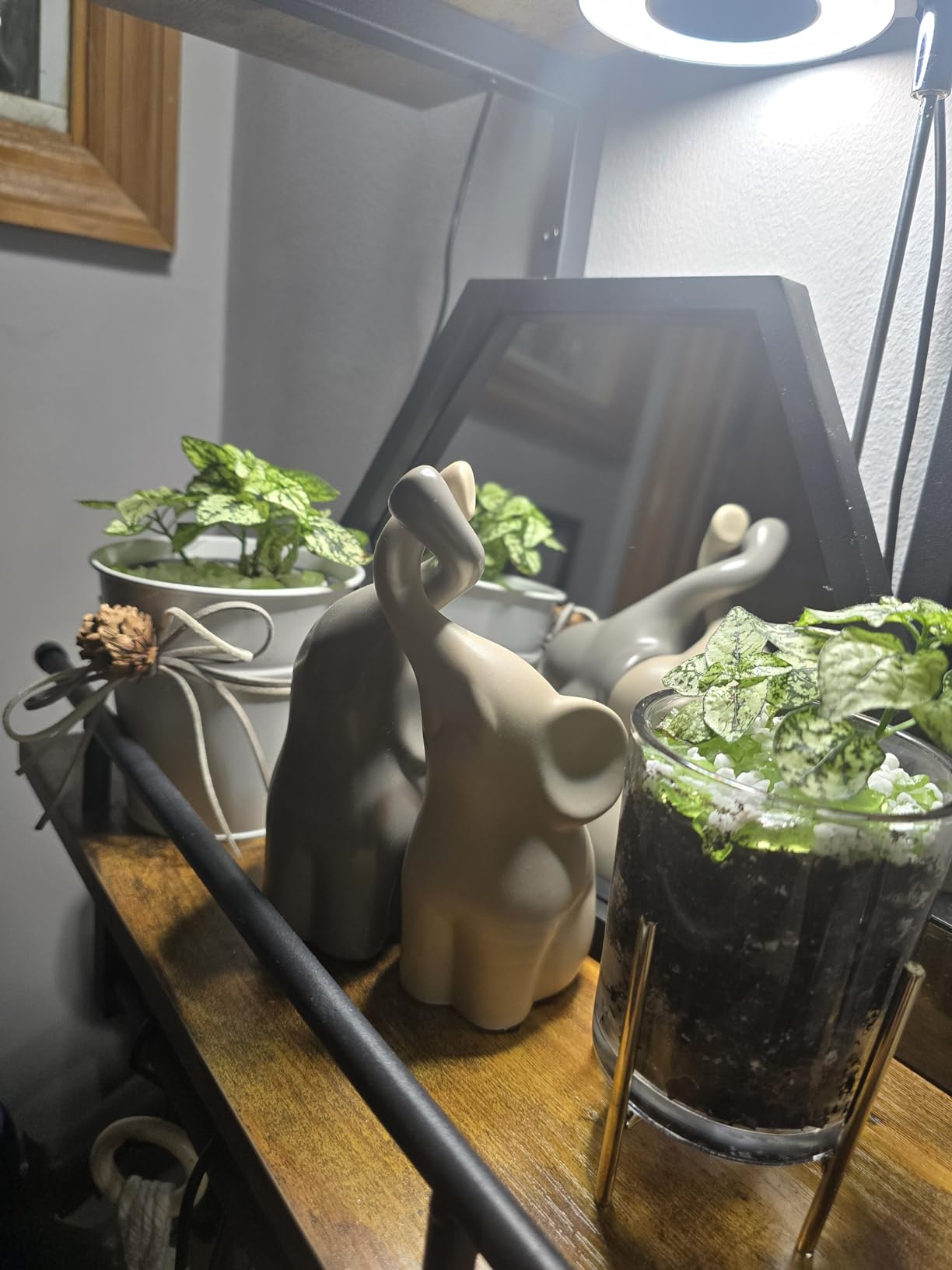 Customer Image