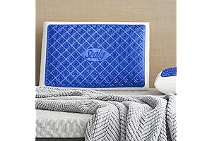 Sealy Posturepedic Chill Gel Memory Foam Pillow