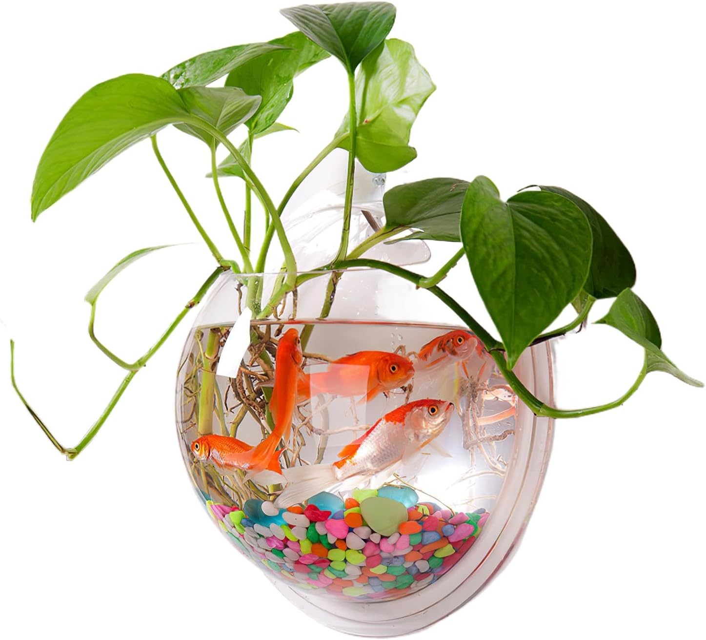 Wall Mounted Fish Tank: Acrylic Hanging Bowl 9In Diameter - Clear Bubble Aquarium for Betta Fish, Home Decor, Wall Planter (No Plants Included)