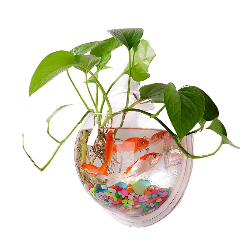 Aquário de Parede em Acrílico Transparente para Peixes Betta Alipis 1,58 L