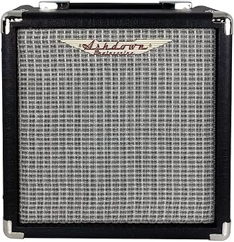 Amazon | Ashdown (アッシュダウン) 10W ベースアンプ D190 X W275 X