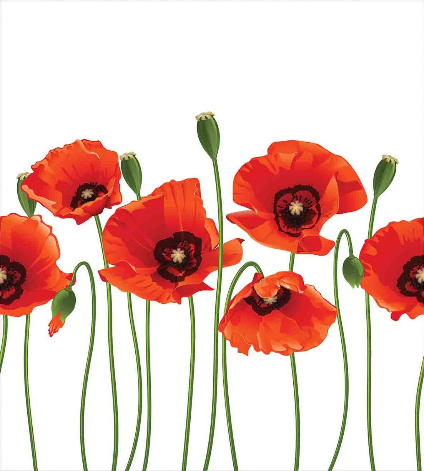 Ambesonne Floral Duvet Cover Set, Poppies of Spring Season Pastoral Flowers Botany Bouquet Field Nature Theme Art, Decorative 3 Piece Bedding Set with 2 Pillow Shams, King Size, Red and Green King Red and Green