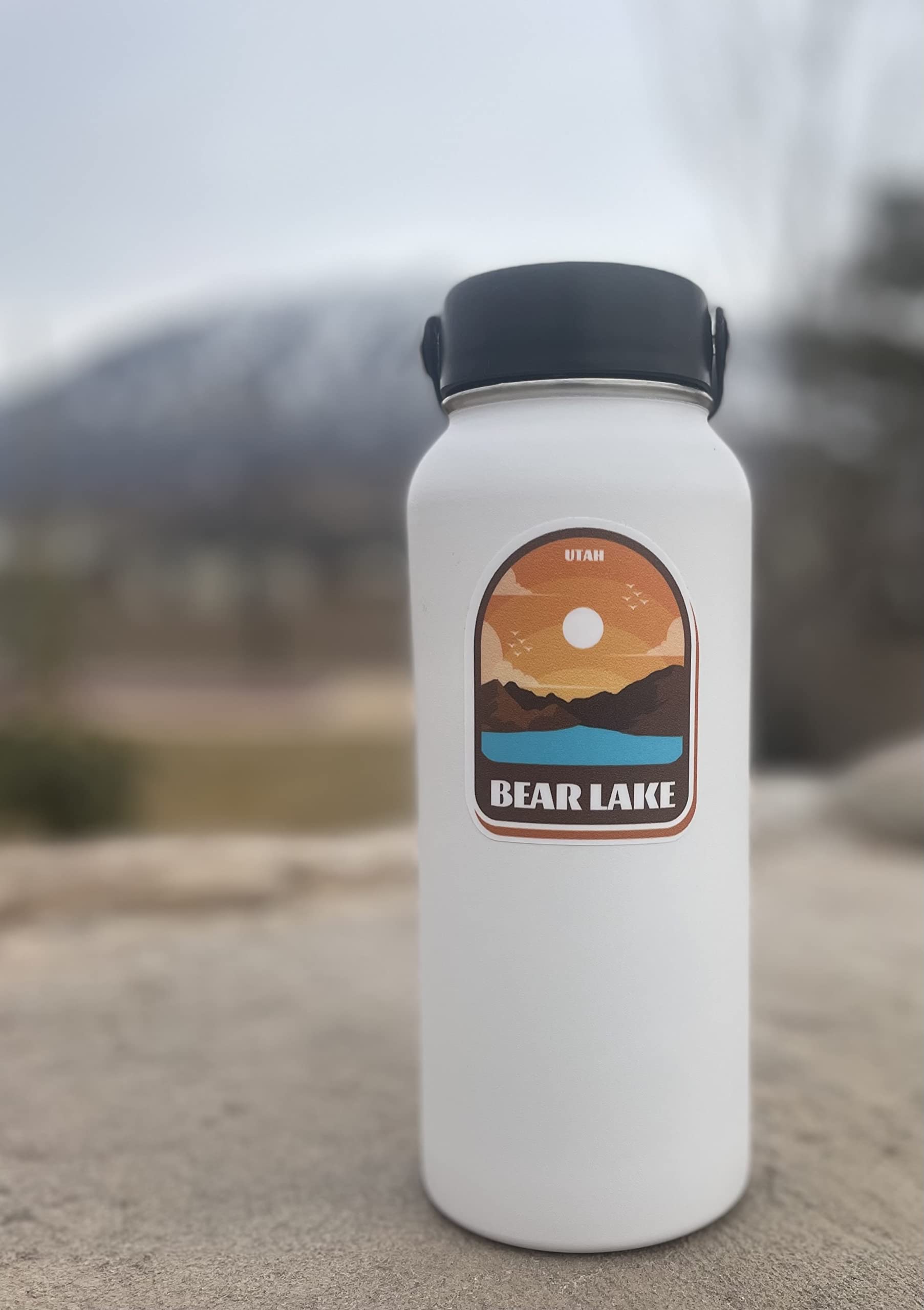 Generic Cool Bear Sticker - Vinyl Waterproof Decal For Car, Laptop, Wall, Window, Door, Water Bottle, Bumper Sticker Size - 3'' Longer Side