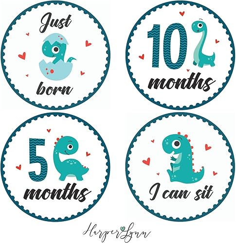 HarperLynn - Calcomanías mensuales para bebé (16 calcomanías, dinosaurio), accesorio de fotos de recién nacido para fotos, gran regalo para padres