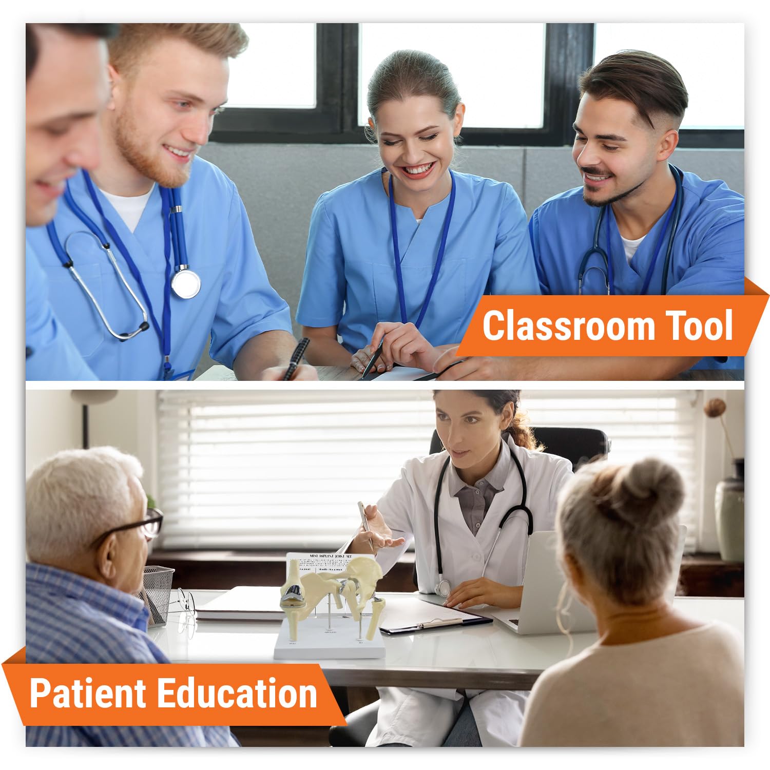 GPI Anatomicals 3-piece Mini Implant Joint Set for Anatomy, Physiology Education, Anatomy Model for Doctor's Offices and Classrooms, Medical Learning Resources