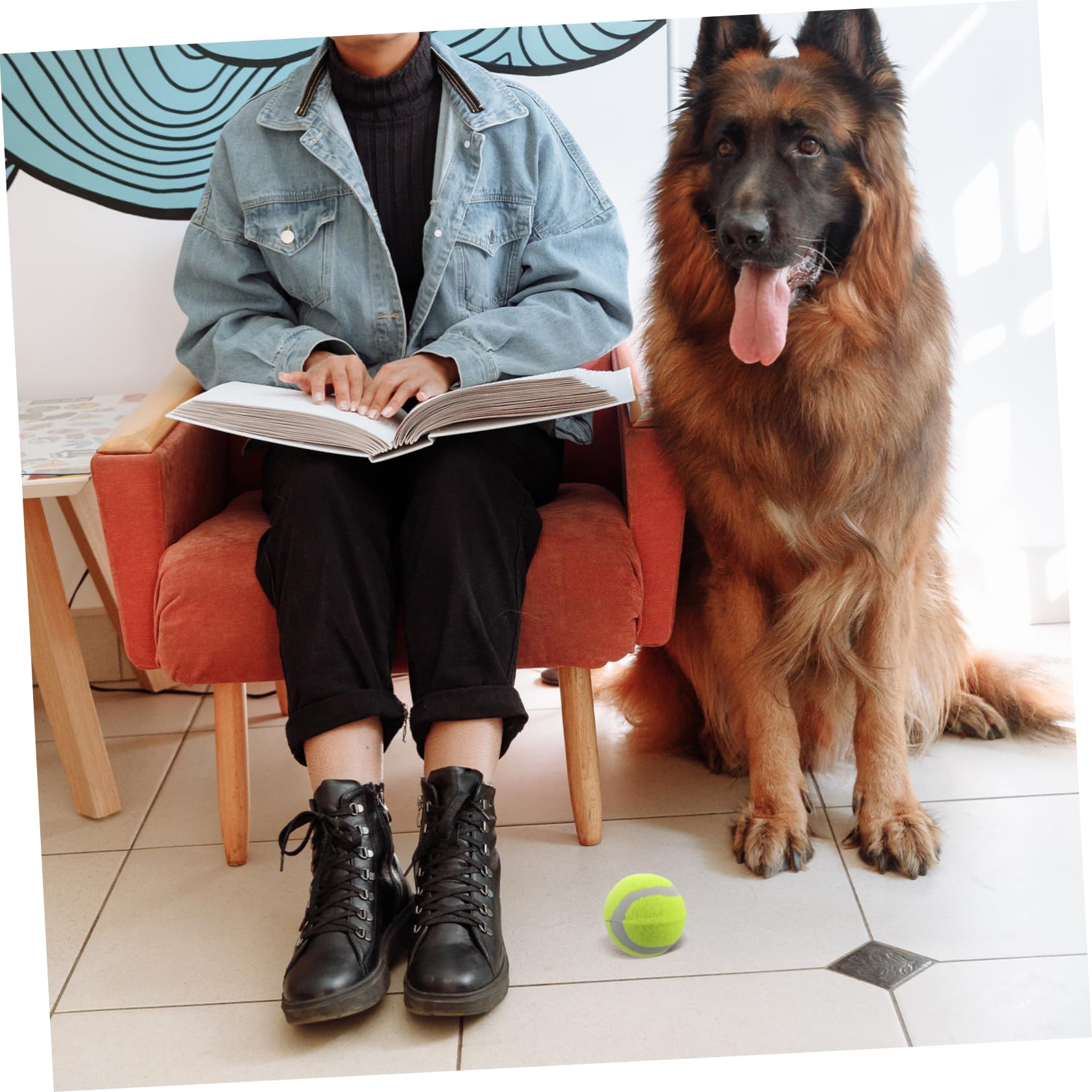 BESPORTBLE Interaktive Hundespielzeugbälle 22 Stück Hüpf-tennisbälle Hundetrainingsbälle Quietschend Robustes Spielzeug für Haustiere