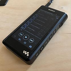 Sony NW-WM1A High-Resolution Audio Walkman (128 GB Speicher, Micro 