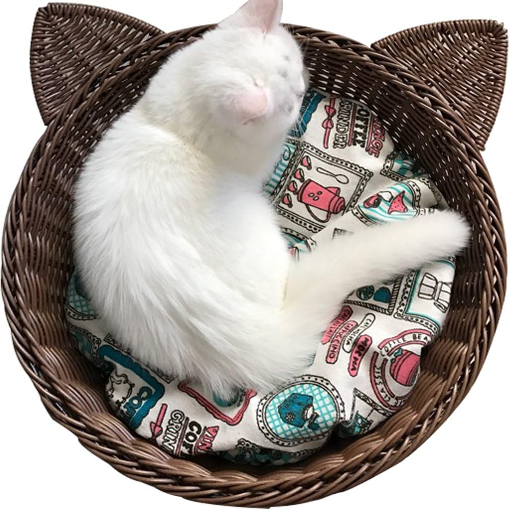 nest cat bed