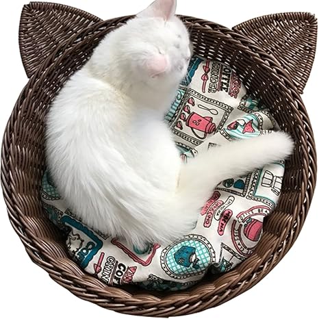 cute cat beds amazon