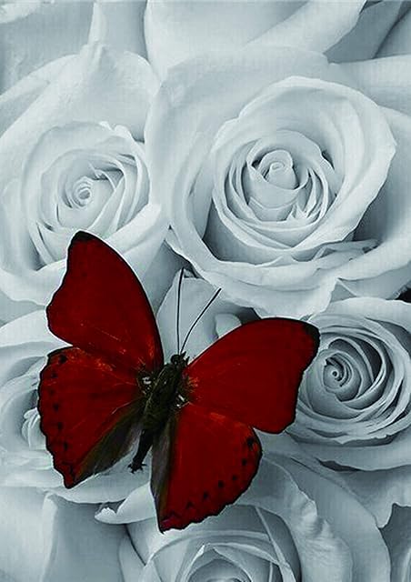 5D DIY Diamond Art Painting Kit Full Drill for Kids Adults, Diamond Canvas Crystal Rhinestone Embroidery Cross Stitch Arts Crafts Pictures Painting Kits by Numbers for Home Wall Decor - Rose