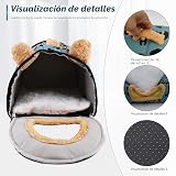 Ver la foto 4