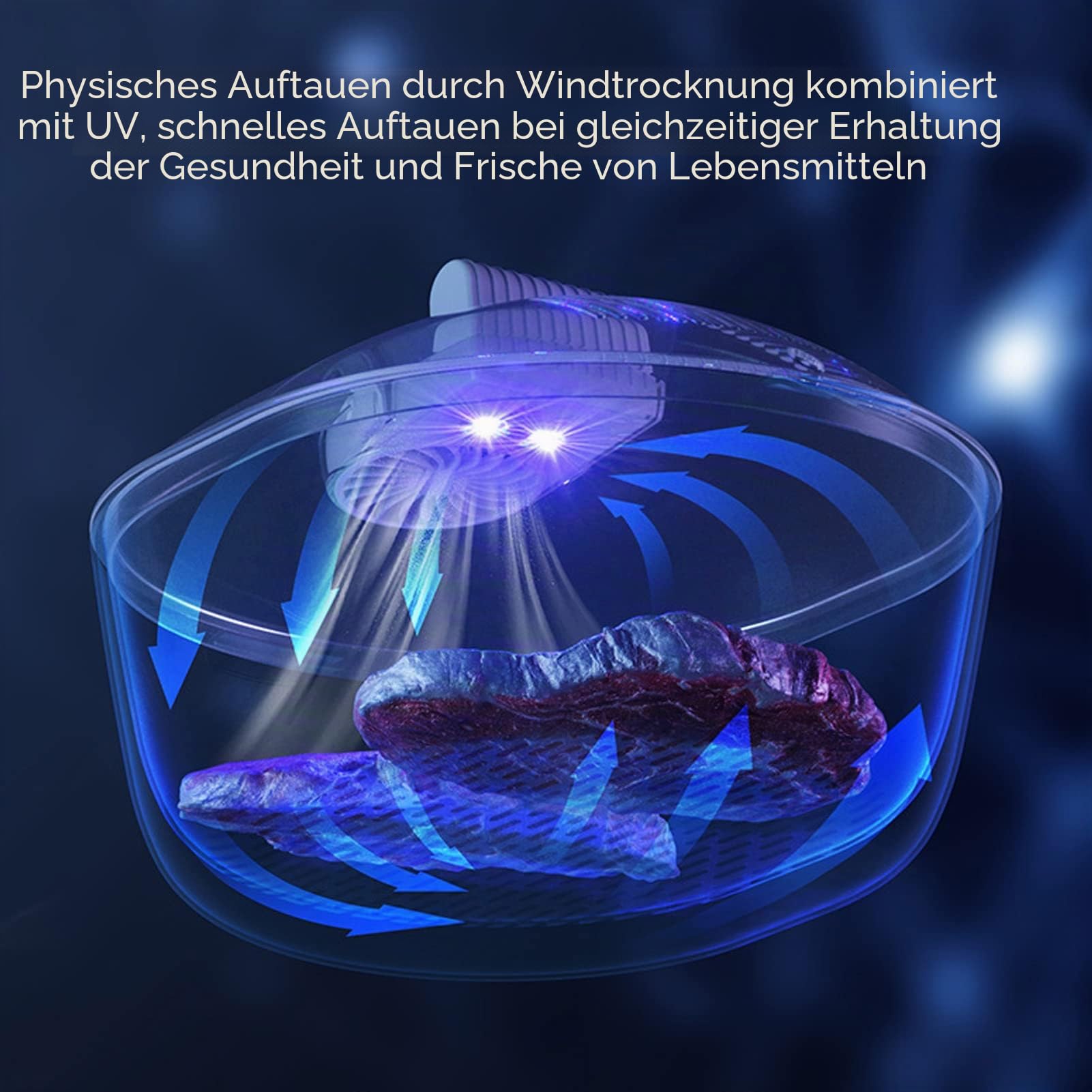 Auftaukorb für Gefrorenes Fleisch, Auftaugerät Zum Schnellen Auftauen von Gefrorenen Lebensmitteln, Schnelles Auftauen von Lebensmitteln und Auftauplatte, Schnelle und Gesündere