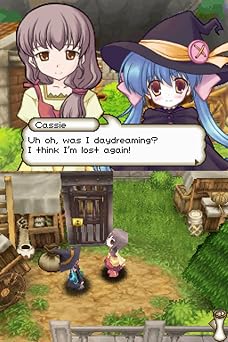 Witch's Wish - Nintendo DS
