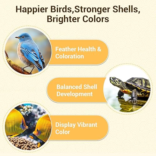 Vista 7 de Gusanos de harina secos, gusanos de harina a granel con alto contenido de proteínas, 22 libras, 100% sin OMG para aves, pollos, tortugas, peces