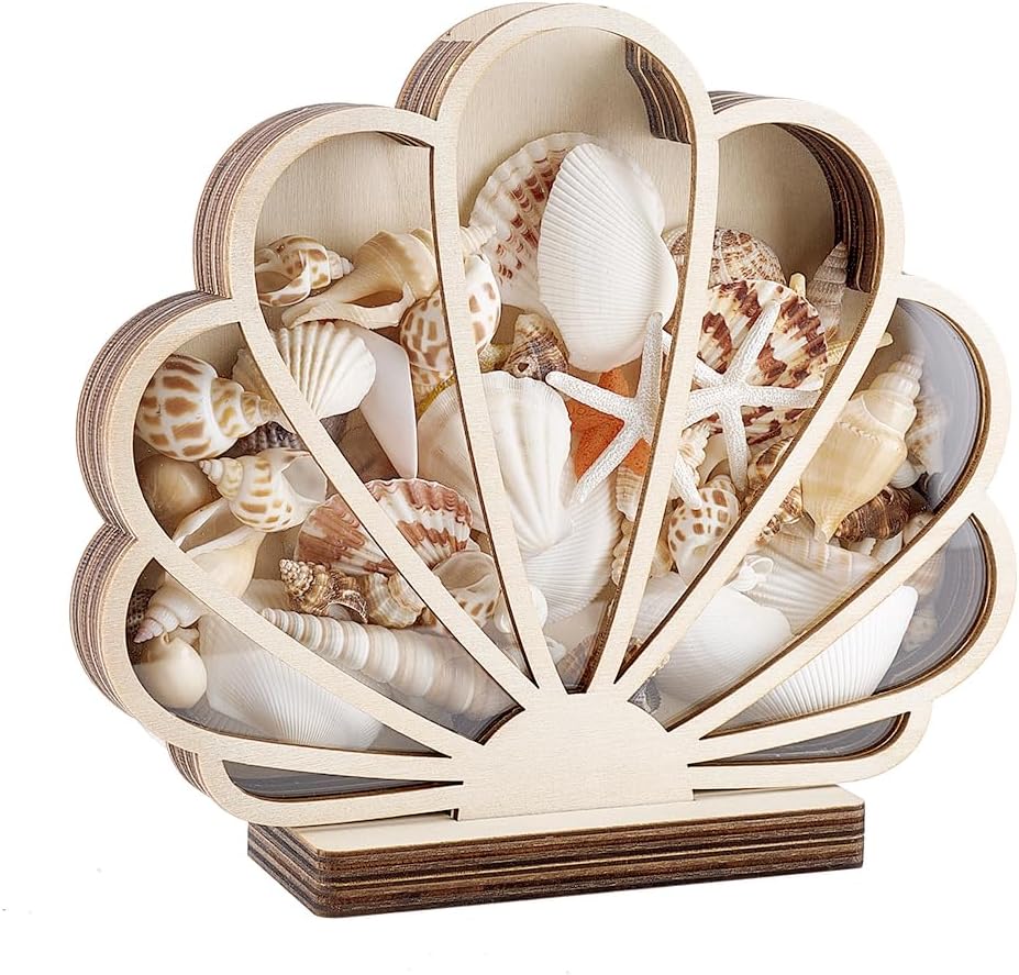 PH PandaHall Shell Display Case, 7.8x7 inch Wooden Seashell Shadow Box with Clear Window Wood Shell Holder Seashell Shaped Display Box for Coastal Beach Room Bedroom Home Vacation Decoration