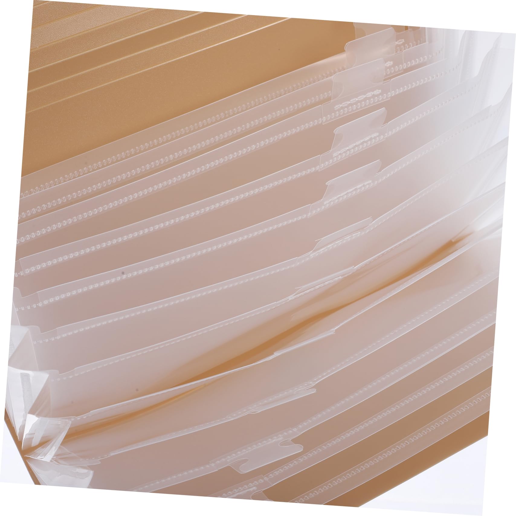 Ciieeo Cartella Portadocumenti Espandibile in Plastica Pp e Etichette Colorate Per Organizzare File e Resistente