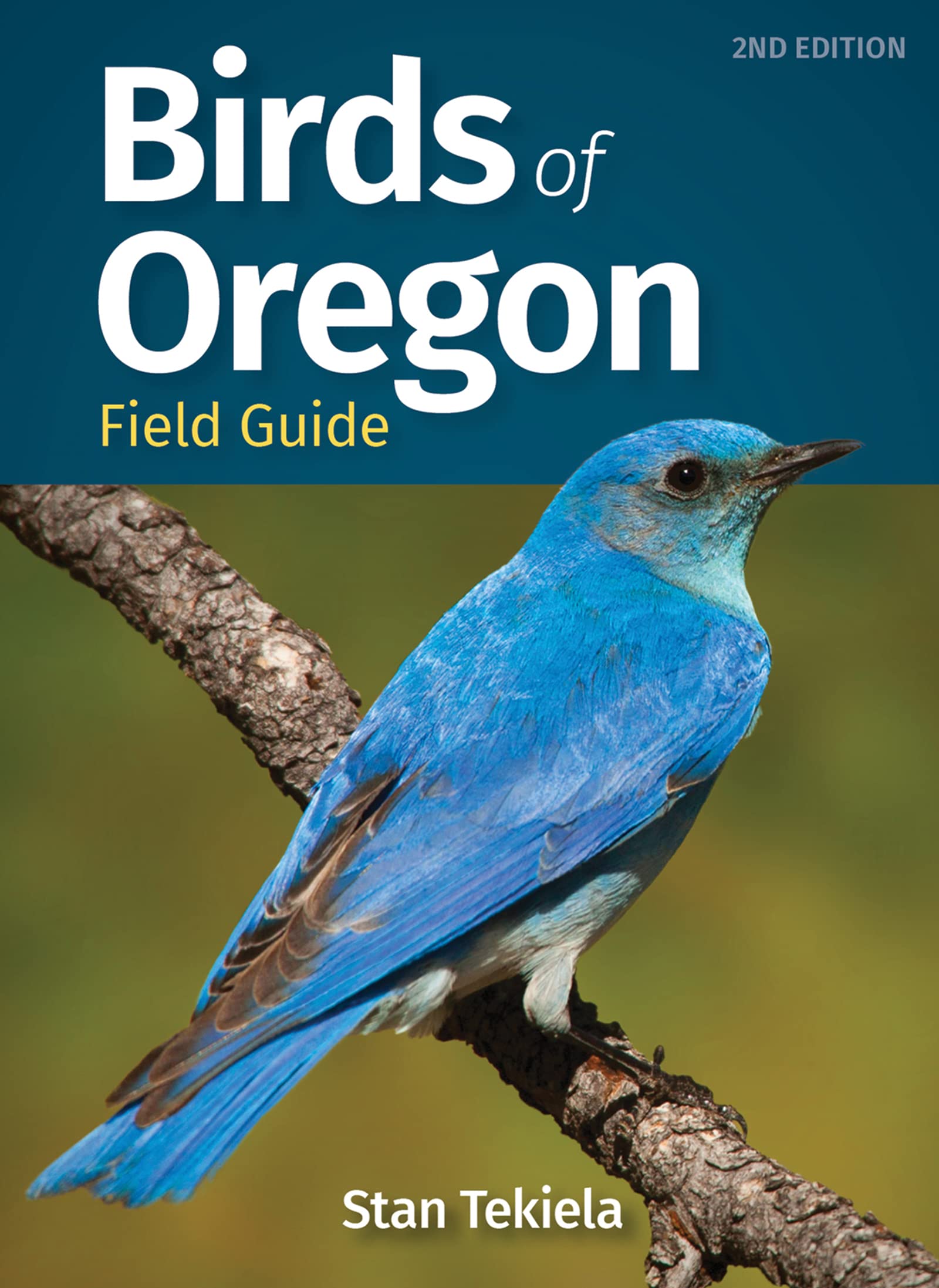 Birds of Oregon Field Guide: Explore Oregon's Diverse Avian Wonders