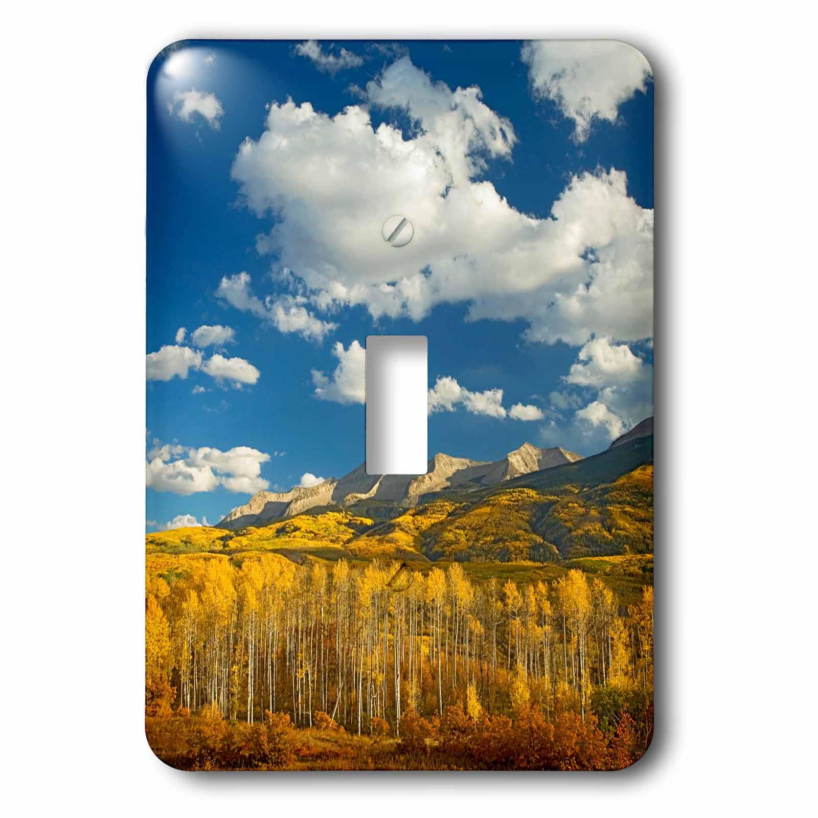 Cache interrupteur Colorado USA dans votre salon avec la plaque 3dRose