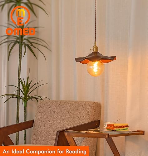 Miniatura 8 de OMED Bombilla Edison LED vintage G125G40 E26, globo de gran tamaño, regulable, de vidrio ámbar, 2200 K, blanco cálido, bombilla redonda antigua