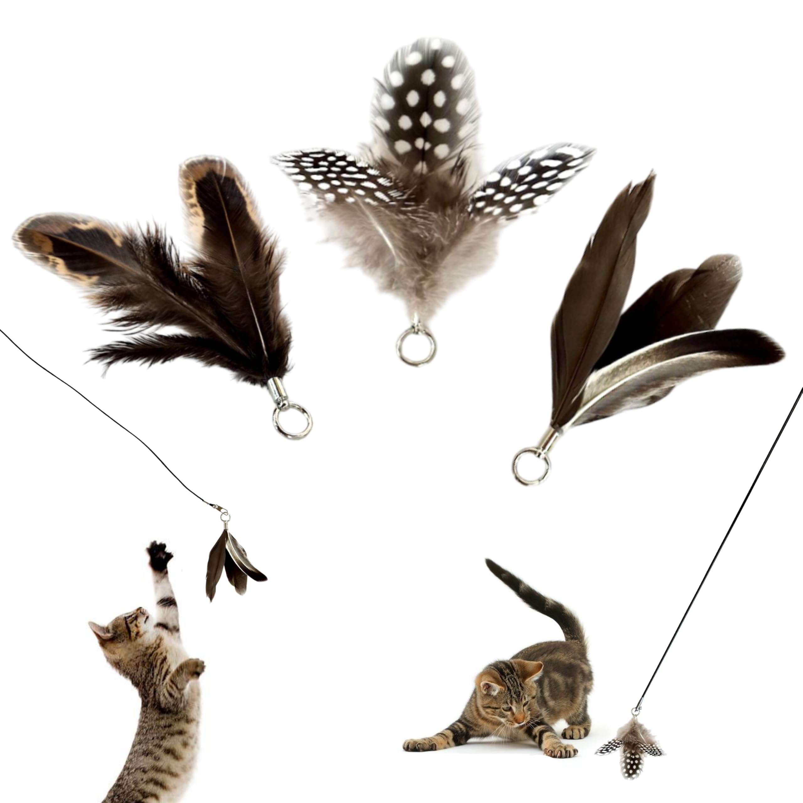 repounce Feather Toys Replacements (3 Pc) - Cat Toys & Kitten Toys for Indoor Kittens, Set of Replacement Feather Attachments Extra Small and Durable,