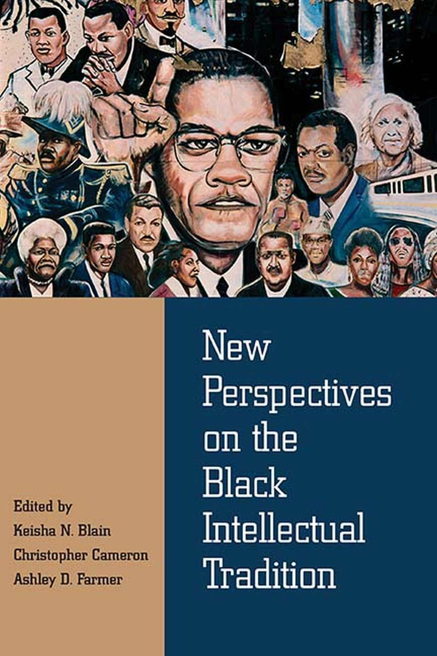Buy New Perspectives on the Black Intellectual Tradition — BookShops.in