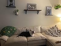 Review Image by Taylor Page Taylor Page