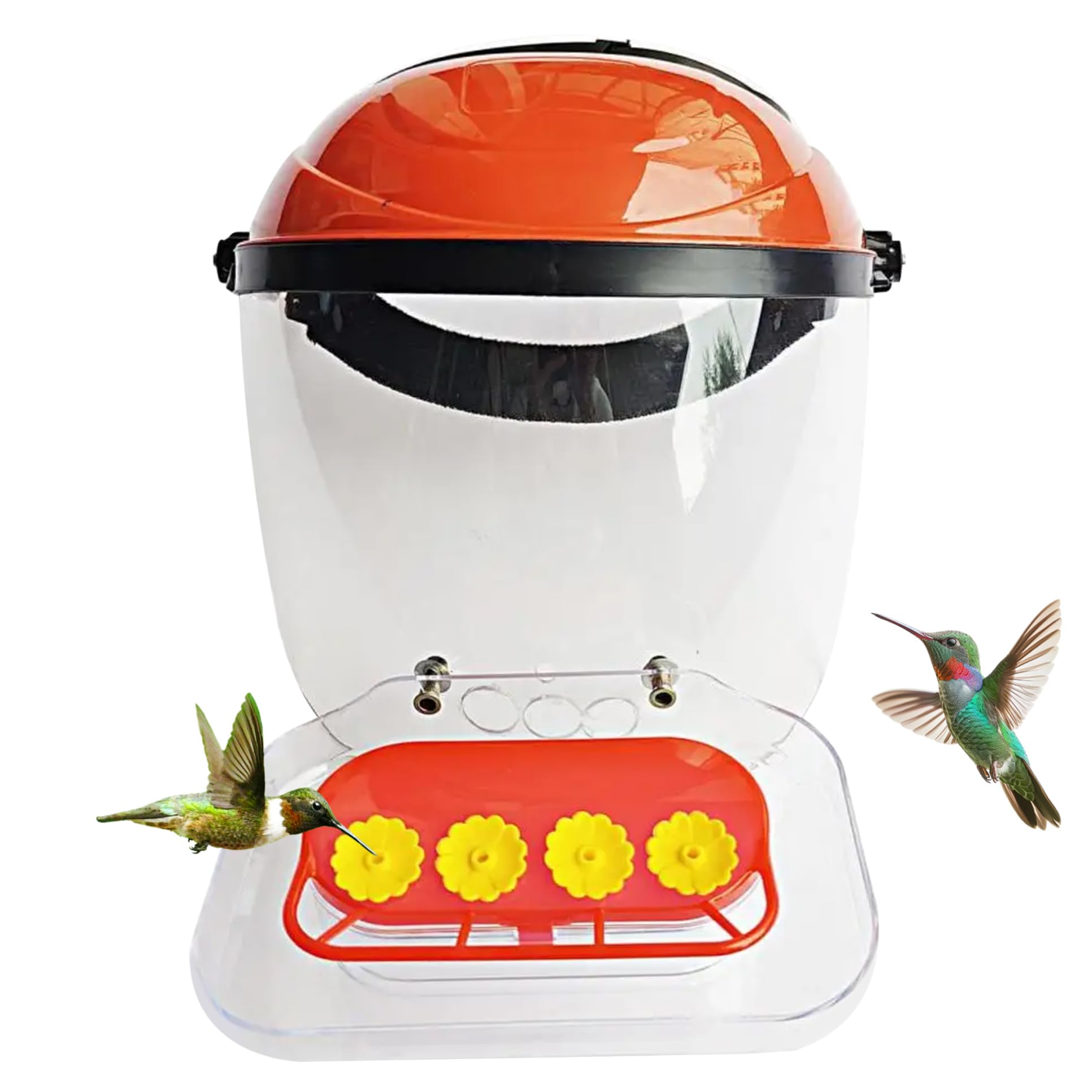 Mangeoire pour colibris portable pour observer les oiseaux au jardin