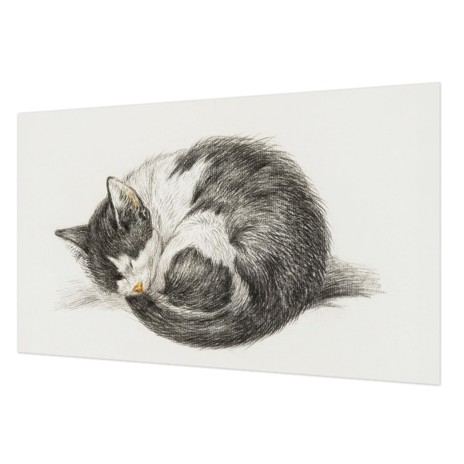 Tapisserie intissée 416x254 cm motif adorable chaton pour décoration murale de salon