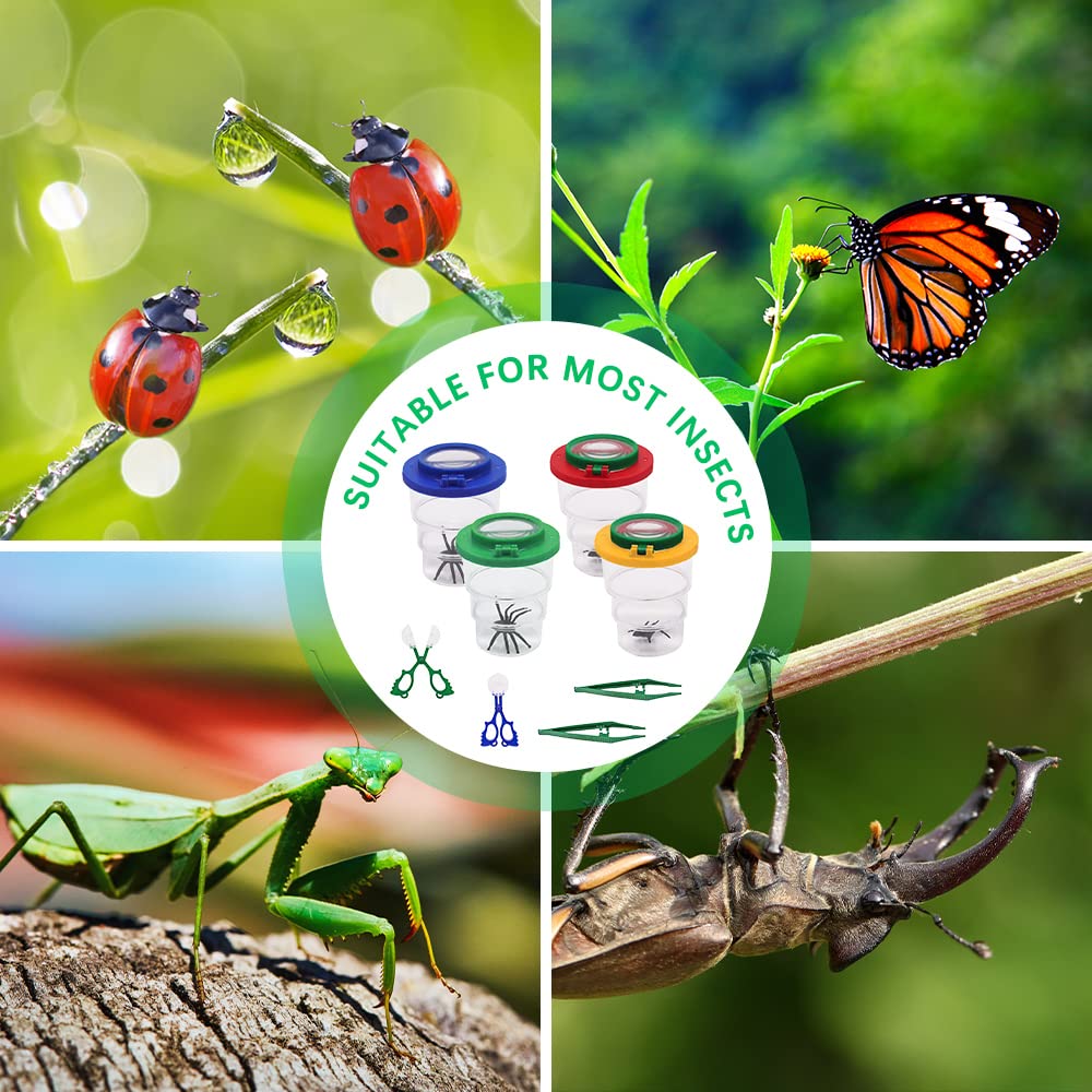 Insectendoosje met vergrootglas - Speelgoed