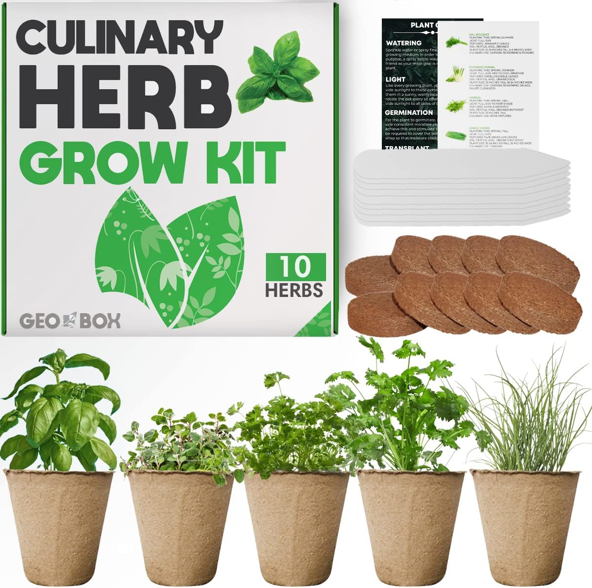 Amazon.com : Herb Garden Indoor Herb Garden Starter Kit Easily Grow 10 ...